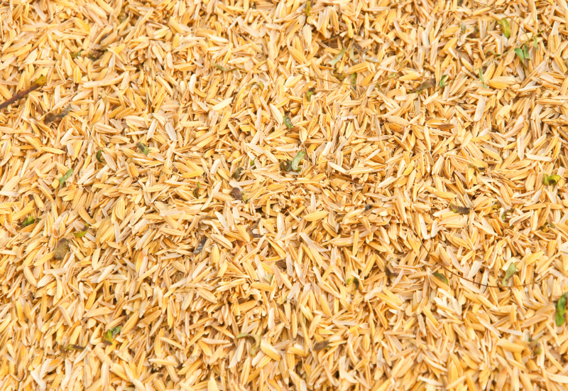 Phù hợp với xu hướng năng lượng xanh và kinh tế tuần hoàn