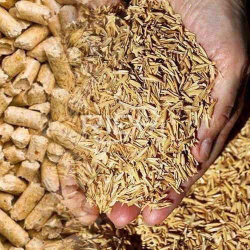 Vỏ Trấu Từ Phụ Phẩm Bị Ruồng Bỏ Đền Nguồn Sinh Khối Tiềm Năng