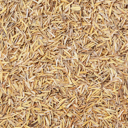 Vì Sao Trấu Ngày Càng Được Quan Tâm Trong Sản Xuất Xanh?