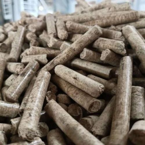 Vì Sao Trấu Viên Nén Ngày Càng Được Sử Dụng Phổ Biến?