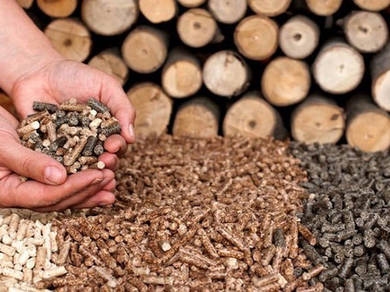 Tương lai của trấu nén trong nền kinh tế năng lượng sạch