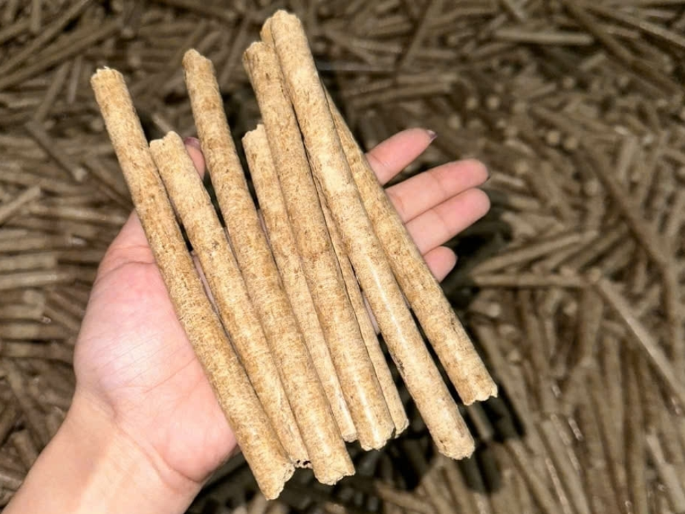 Social (Xã hội): Gắn kết chuỗi giá trị nông nghiệp nội địa