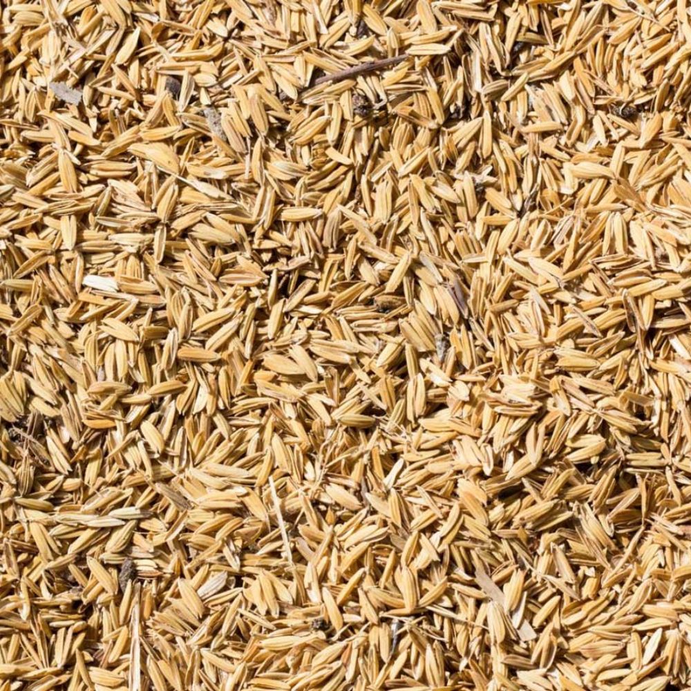 Tận Dụng Trấu Như Thế Nào Để Giảm Ô Nhiễm?