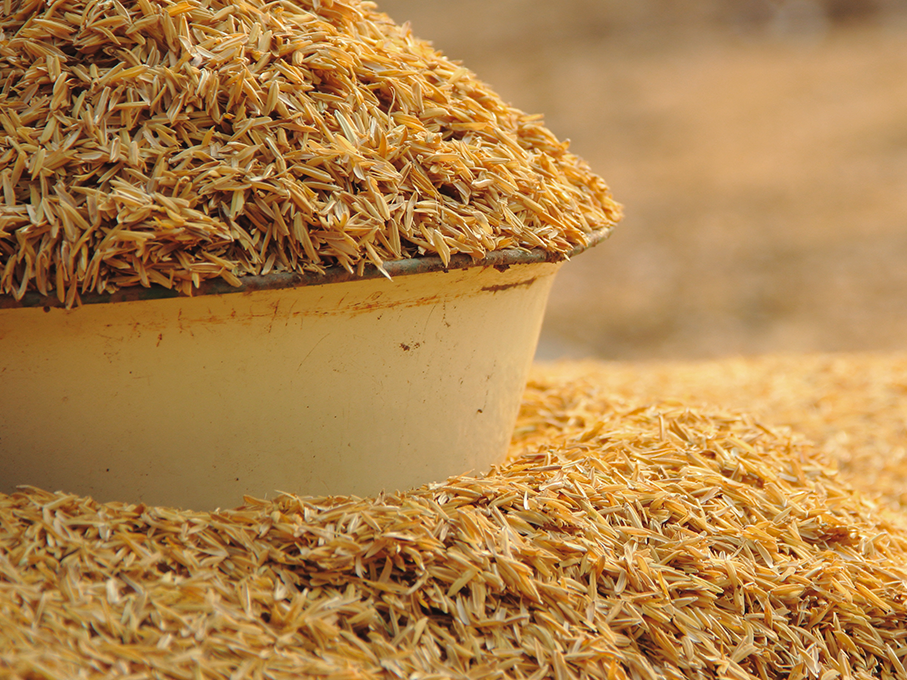 Chất lượng thấp, hiệu suất sử dụng kém