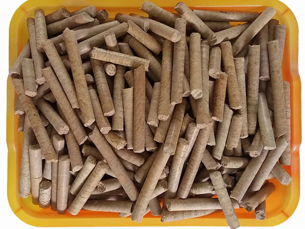 Governance (Quản trị): Tăng tính minh bạch và khả năng đáp ứng thị trường quốc tế