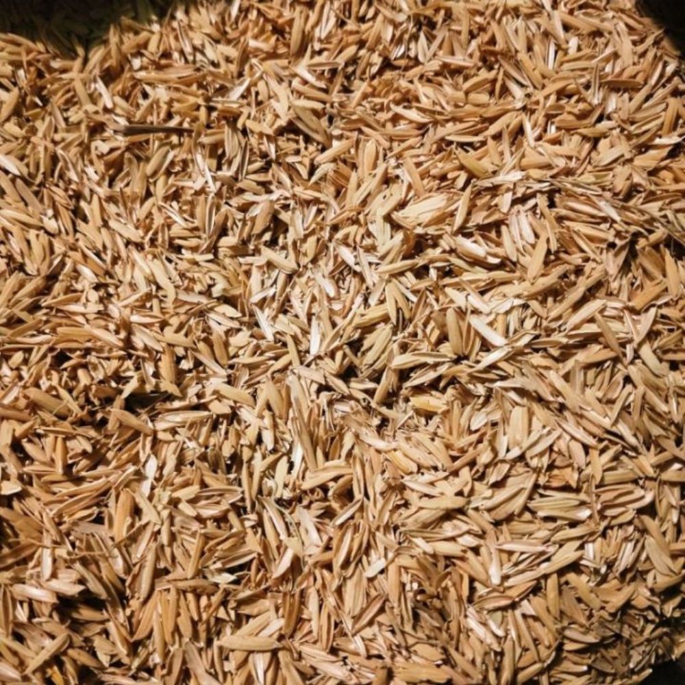 Trấu Giải Pháp Thay Thế Than Không Chỉ Còn Là Xu Hướng – Mà Là Tất Yếu