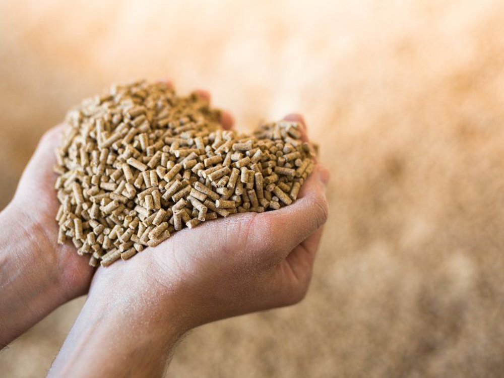 Làm sao để đảm bảo độ ẩm đạt chuẩn?