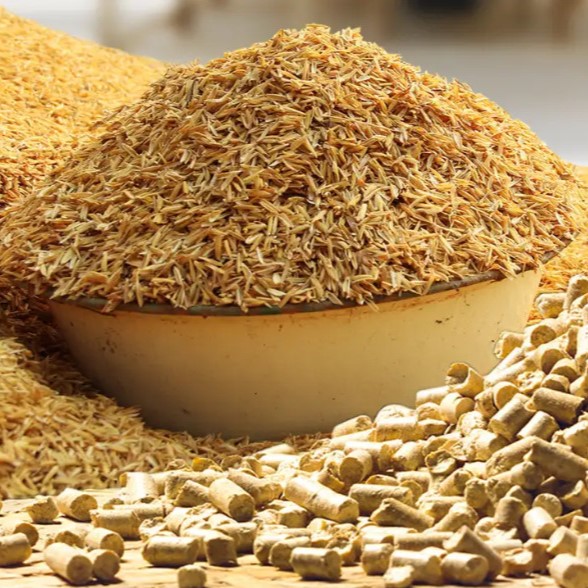 Vỏ Trấu – Từ Phế Phẩm Nông Nghiệp Đến Nguồn Tài Nguyên Công Nghiệp Giá Trị