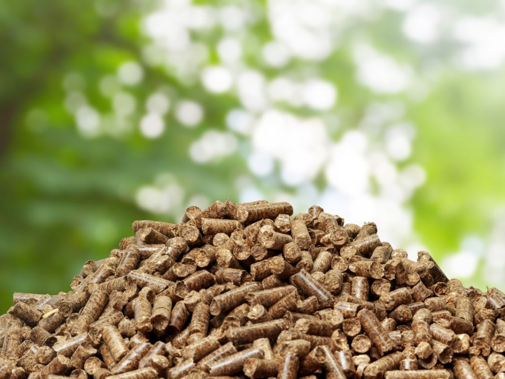 Hiệu suất lò đốt quyết định thời gian thực tế