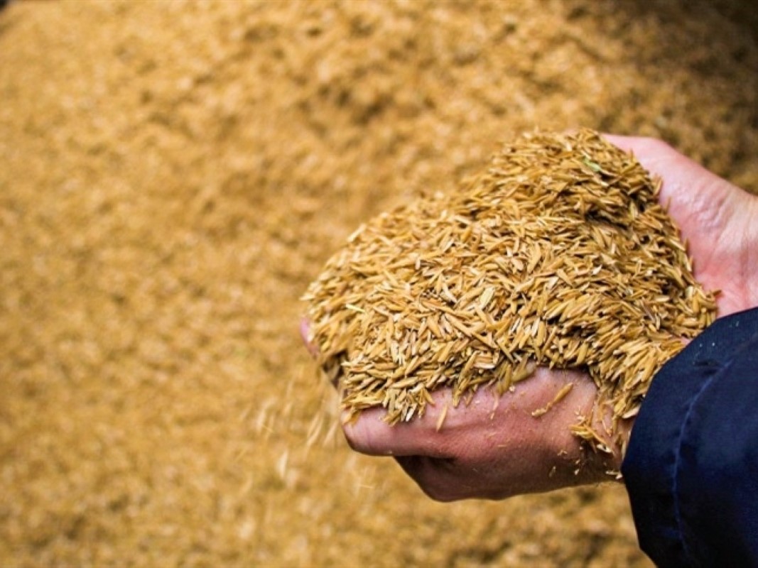 Vì sao doanh nghiệp nên sử dụng trấu?