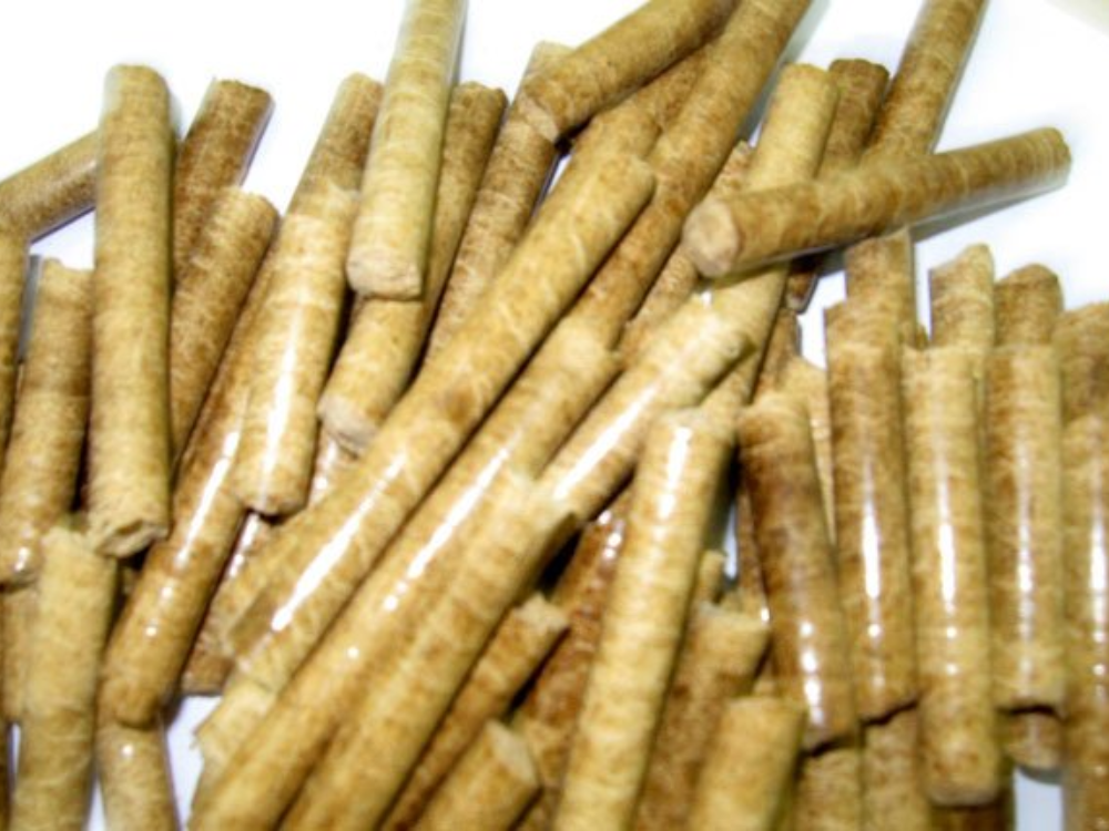 Environmental (Môi trường): Giảm phát thải và tối ưu tài nguyên