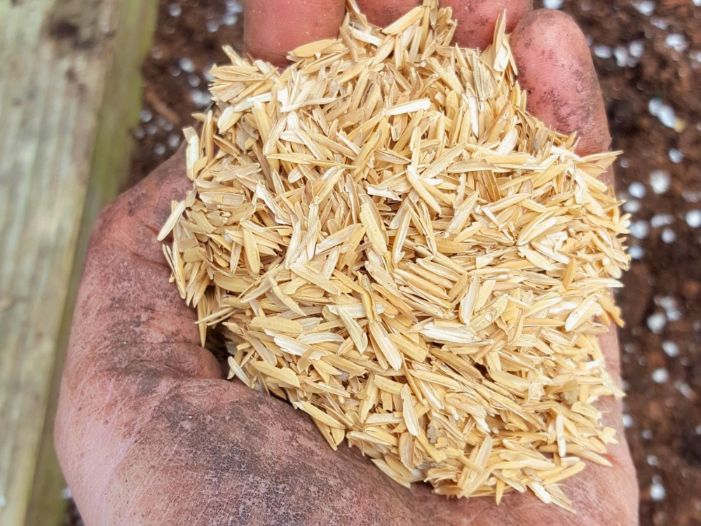 Nhiệt lượng trung bình của vỏ trấu