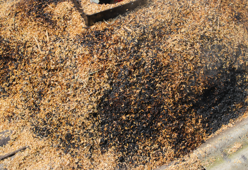 Giá trị nông nghiệp: Cải tạo đất và giữ ẩm