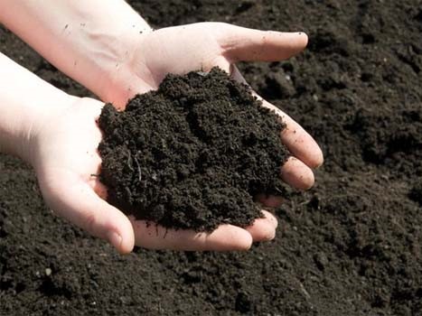 Thân thiện với môi trường