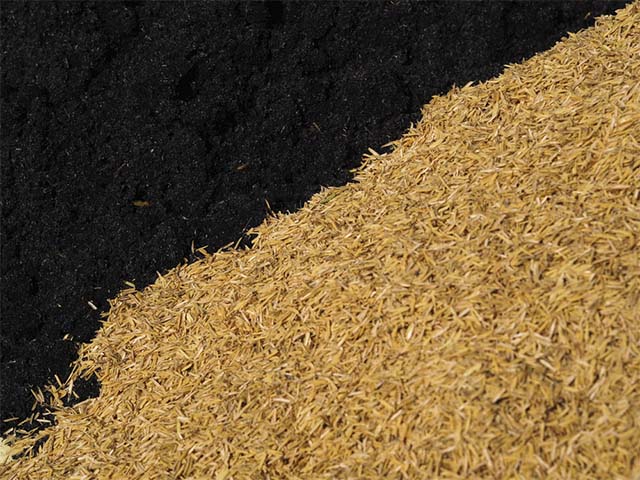 Rủi ro khi bảo quản và vận chuyển trấu giá rẻ