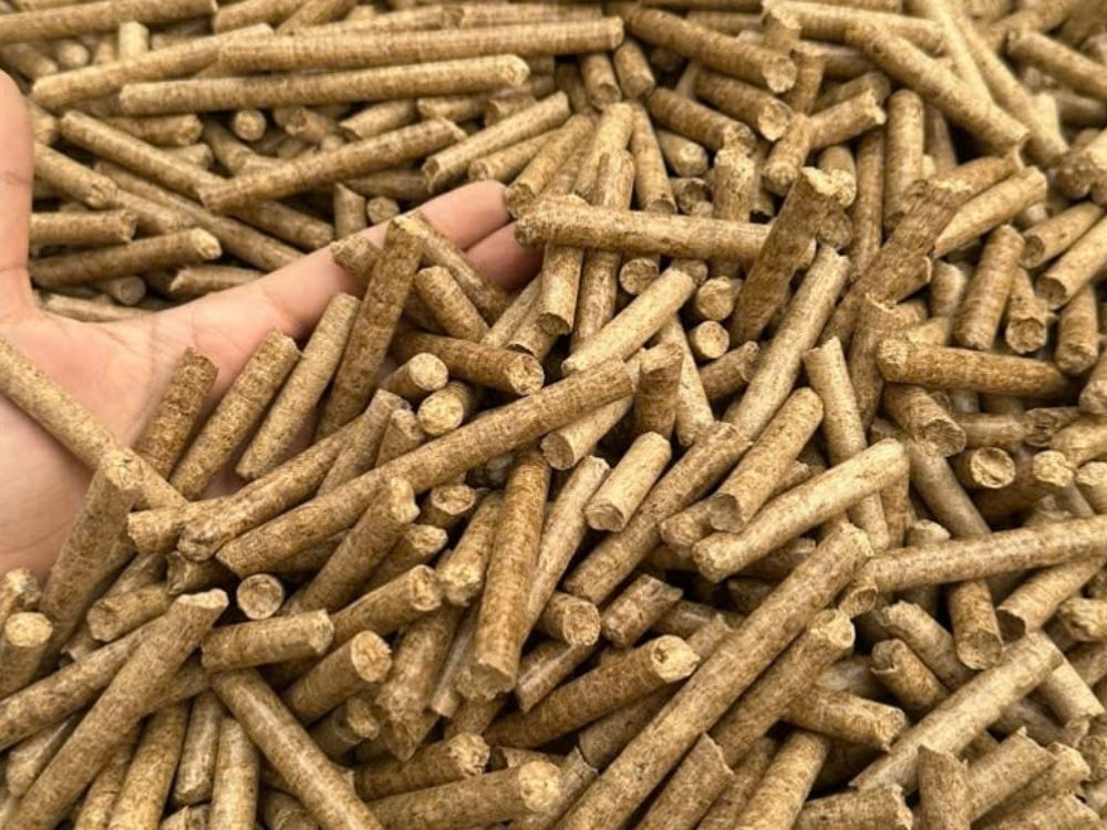 Những lợi ích thực tế của trấu viên trong vận hành lò hơi công nghiệp