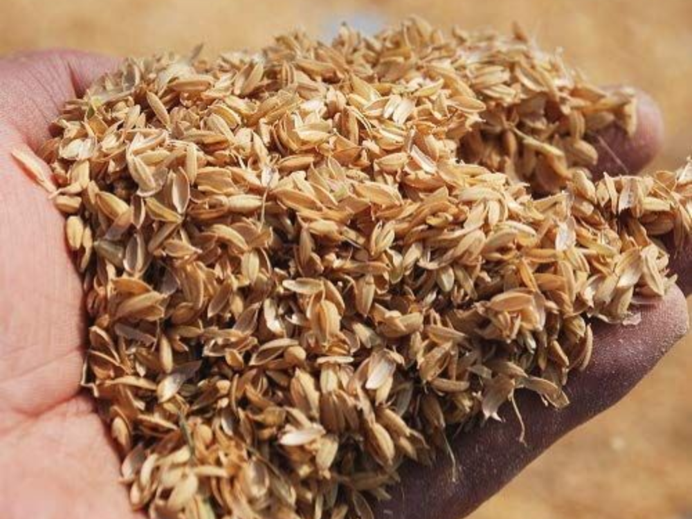 Ứng dụng tro trấu trong sản xuất xi măng và bê tông