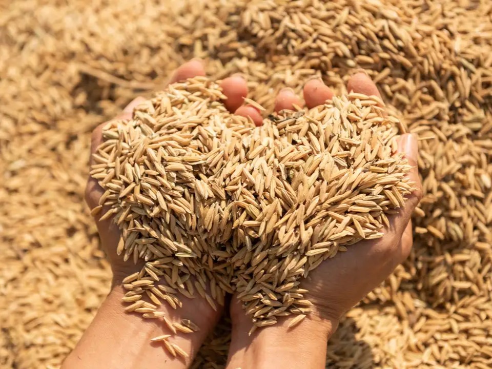 Giải pháp nào cho nhà sản xuất Việt Nam?