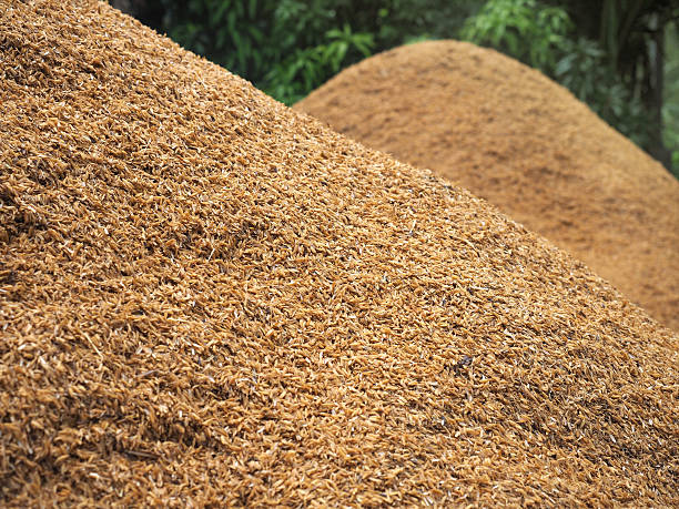 Tiêu chí lựa chọn nhà cung cấp trấu cho doanh nghiệp