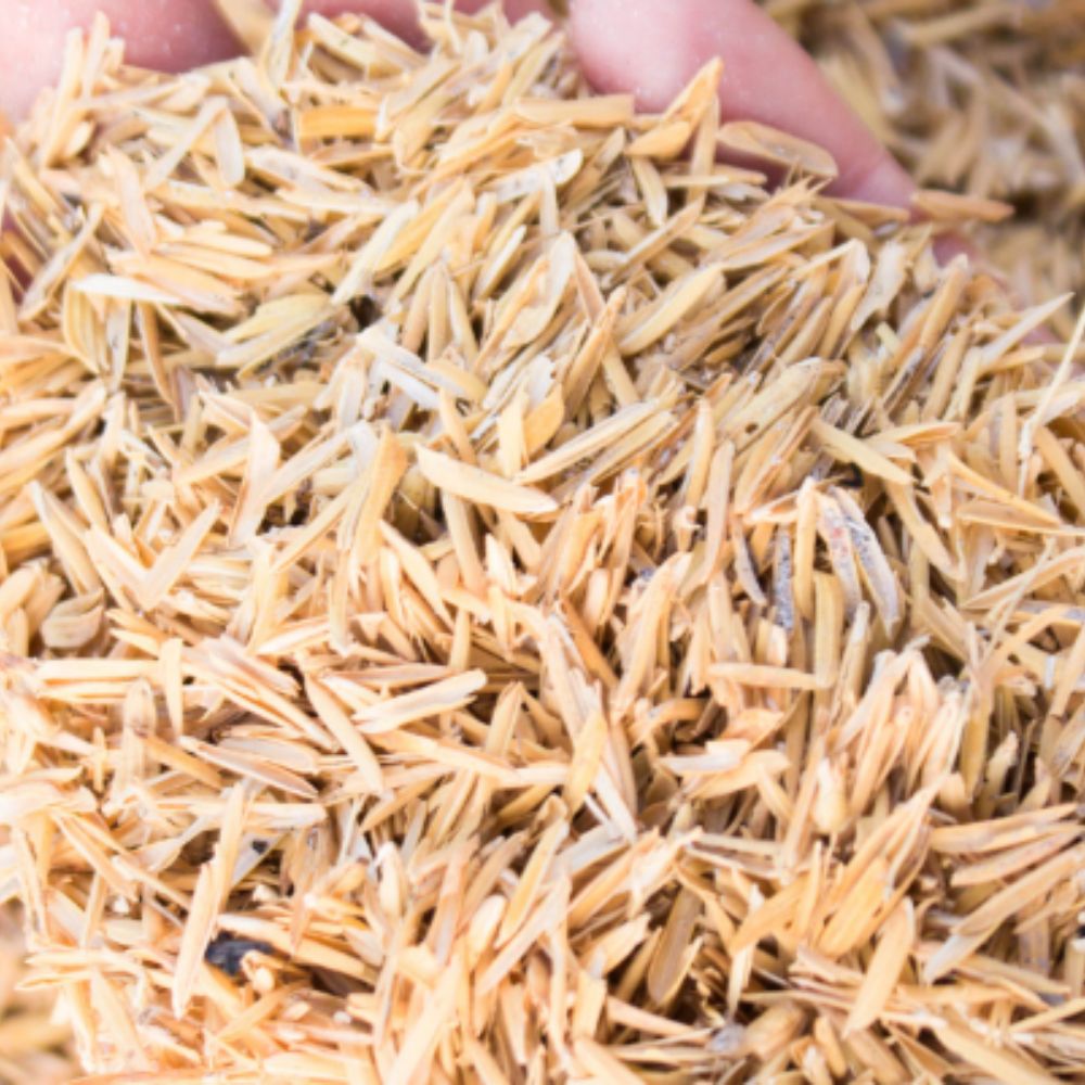 Giải Pháp Nhiên Liệu Sinh Khối Ổn Định Từ Trấu Năm Mới