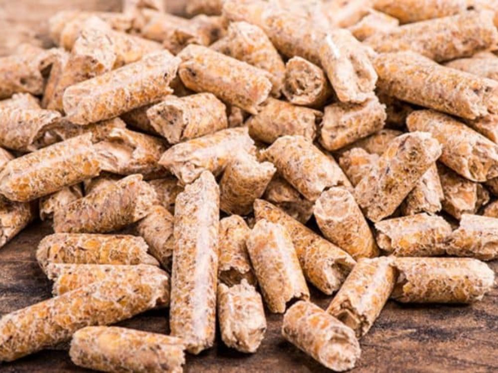 Rủi ro tiềm ẩn khi lưu trữ trấu viên sai cách