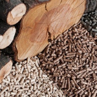 Sức Mạnh Của Trấu Nén Trong Nền Công Nghiệp Hiện Đại, Giải Pháp Năng Lượng Xanh & Tiết Kiệm