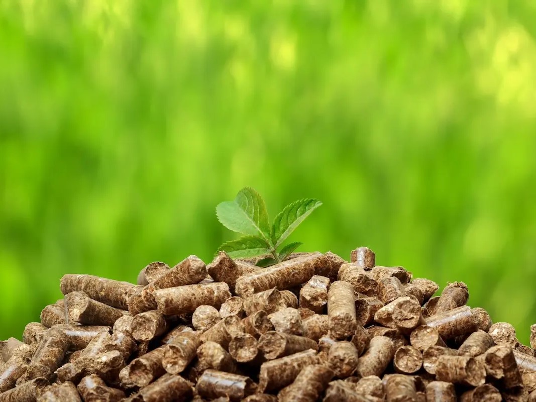 Lợi ích của củi trấu & than sinh học bền vững
