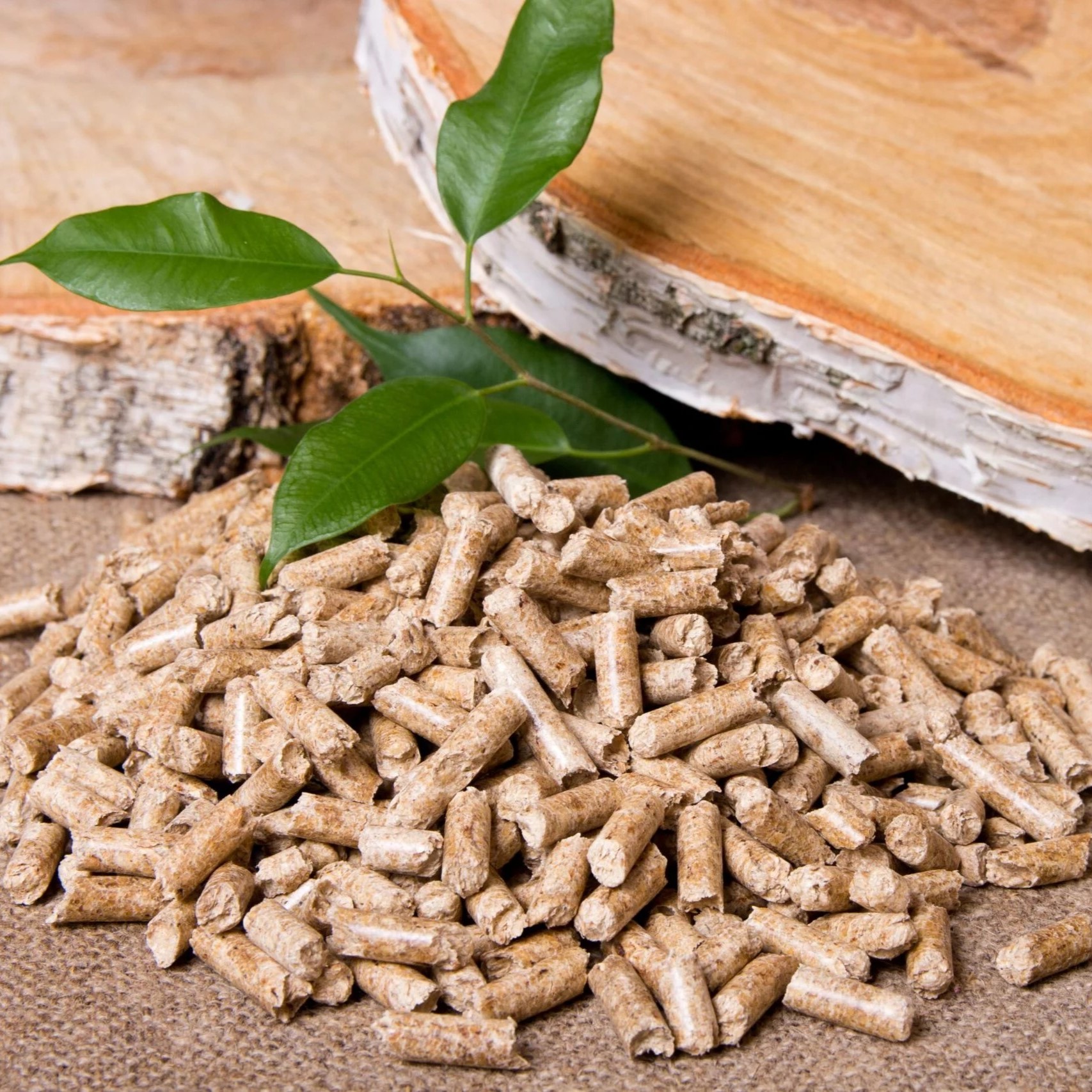 So Sánh Chi Phí Vận Hành Lò Hơi Giữa Nhiêu Liệu Truyền Thống Và Trấu Ép