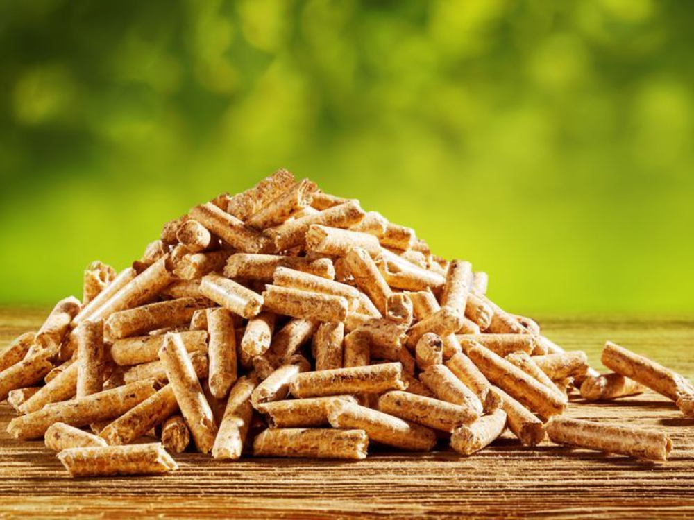 Ảnh hưởng của nhiệt trị và độ ẩm viên trấu