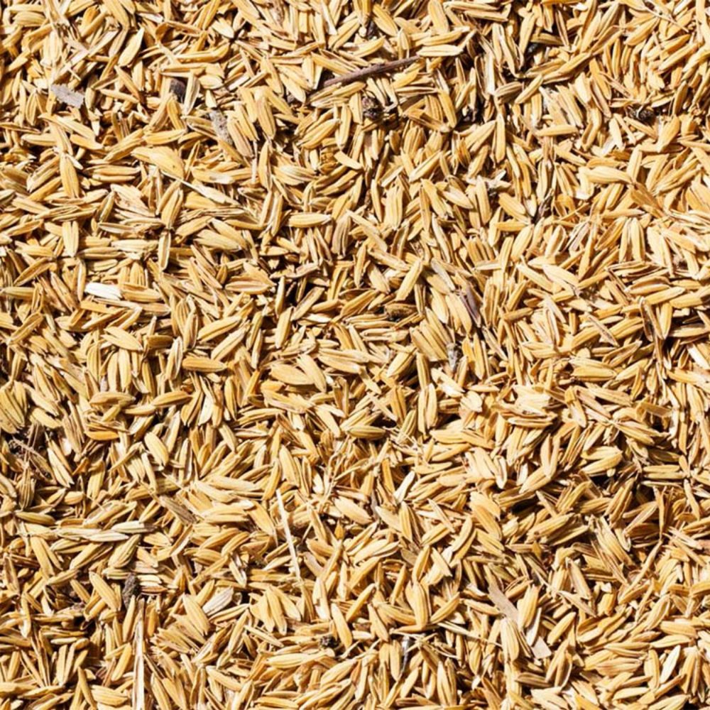 Vì Sao Nhiều Doanh Nghiệp Chuyển Sang Dùng Trấu Để Giảm Chi Phí?