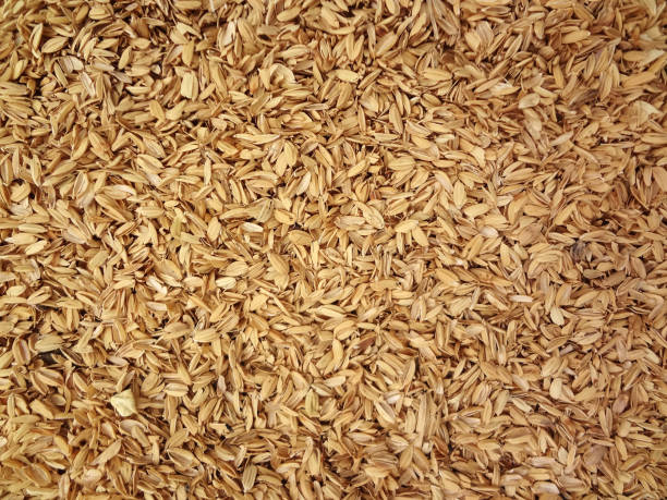 Lưu ý khi sử dụng bột trấu