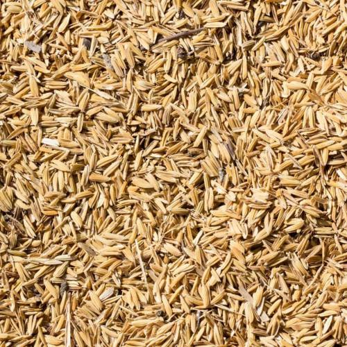 Tận Dụng Trấu Như Thế Nào Để Giảm Ô Nhiễm?