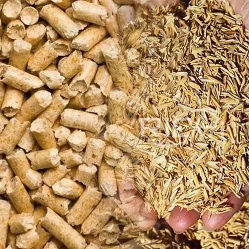 Trấu: “Kho Vàng Nông Nghiệp” Mà Nhiều Người Vẫn Chưa Nhận Ra