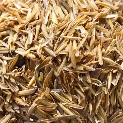 Trấu Giải Pháp Thay Thế Than Không Chỉ Còn Là Xu Hướng – Mà Là Tất Yếu