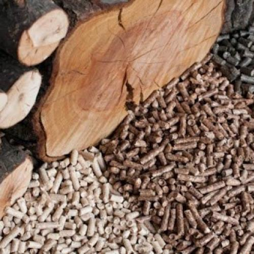 Sức Mạnh Của Trấu Nén Trong Nền Công Nghiệp Hiện Đại, Giải Pháp Năng Lượng Xanh & Tiết Kiệm