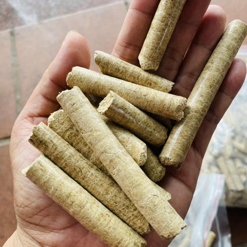 Trấu Viên Có An Toàn Khi Lưu Trữ Dài Hạn Không?