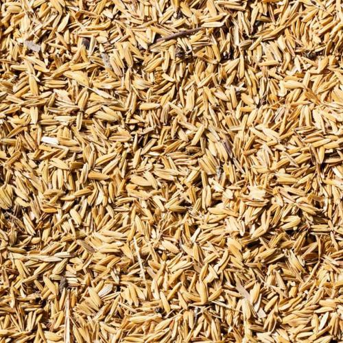 Vì Sao Nhiều Doanh Nghiệp Chuyển Sang Dùng Trấu Để Giảm Chi Phí?