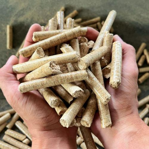 Sử Dụng Trấu Viên Có Gây Hại Cho Lò Hơi Hay Giảm Tuổi Thọ Máy Móc Không?