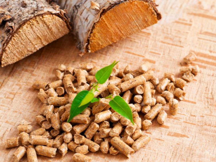 Nâng cấp hệ thống cấp liệu