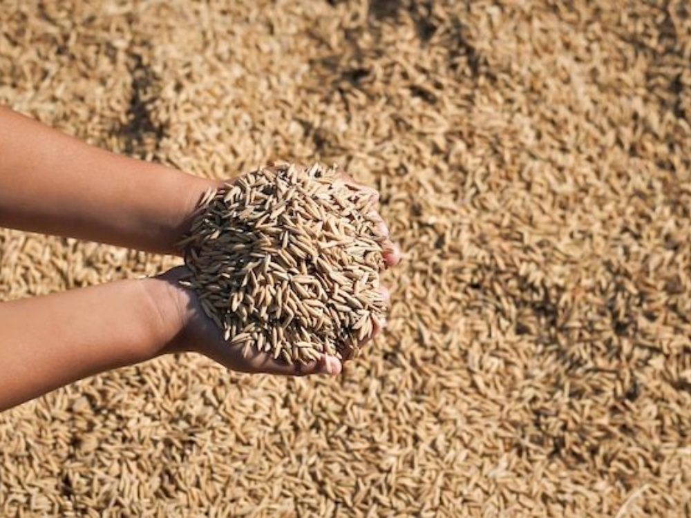 Thân thiện với môi trường