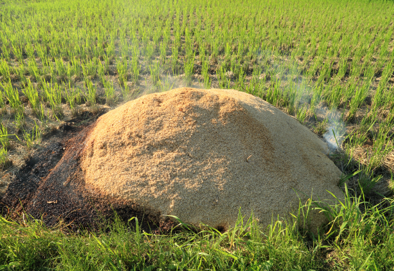 Êm và an toàn cho vật nuôi