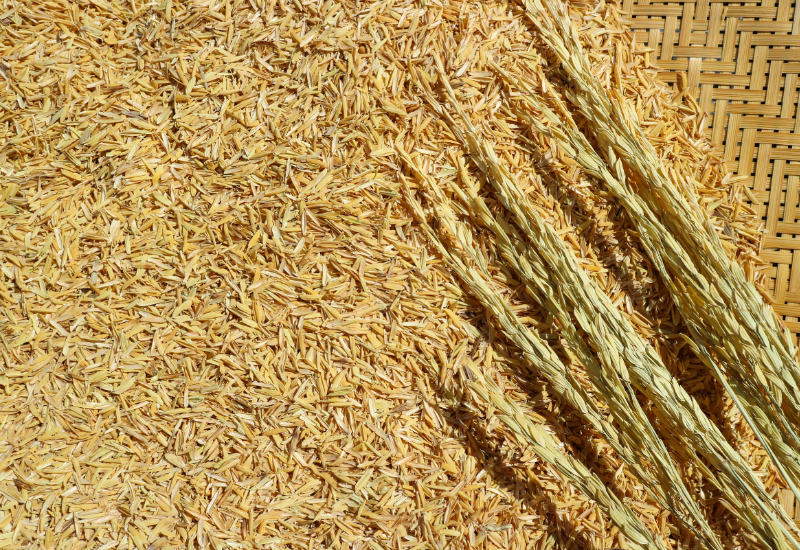 Làm vật liệu lót chuồng hiệu quả