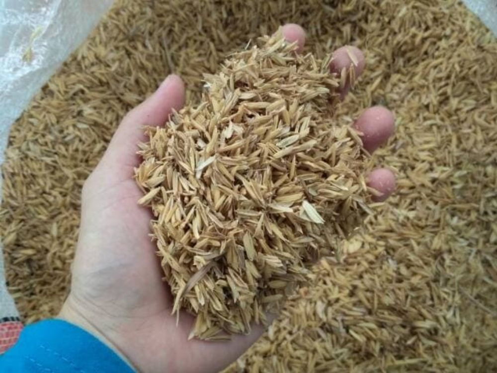 Tiềm năng của trấu trong phát triển kinh tế tuần hoàn và nông nghiệp bền vững