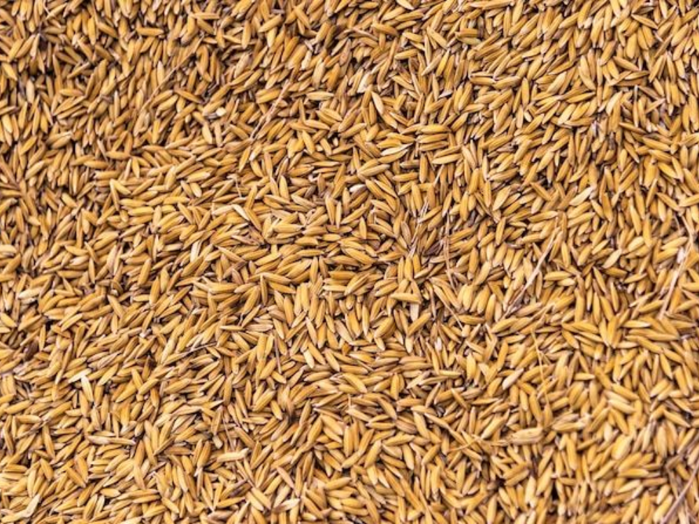 Hiệu suất nhiệt phú hợp cho nhiều ngành sản xuất