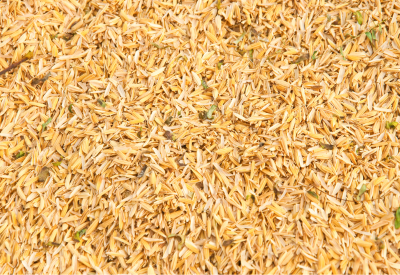 Giảm mùi hôi và cải thiện môi trường chăn nuôi