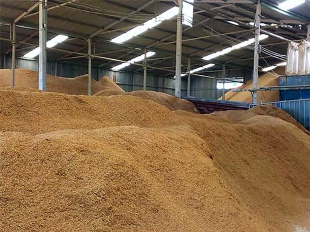 Lợi ích khi sử dụng trấu làm nhiên liệu cho lò gạch công nghiệp