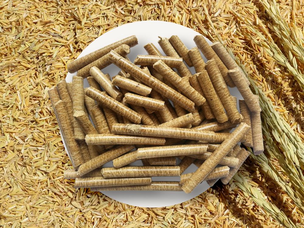Ưu điểm của trấu viên khi sử dụng làm nhiên liệu trong sản xuất