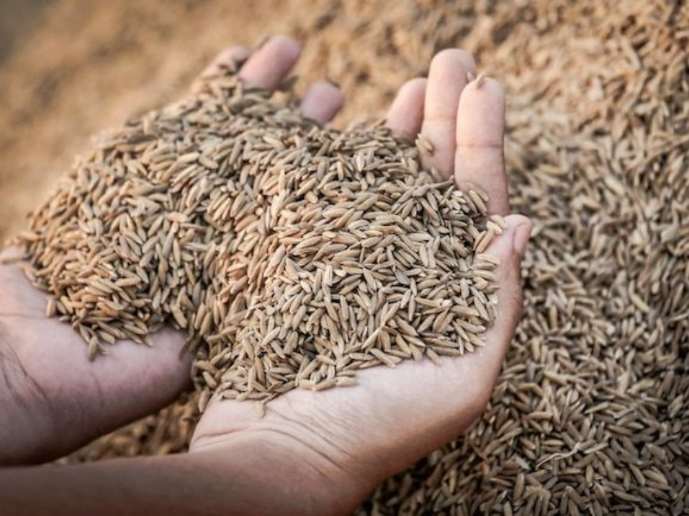 Hướng đi phù hợp với xu hướng năng lượng xanh