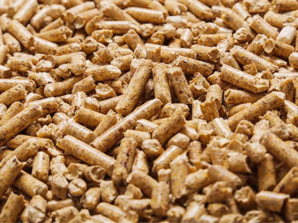 Hiểu rõ đặc của viên nén trấu