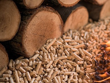 Chuẩn bị không gian lưu kho tiêu chuẩn